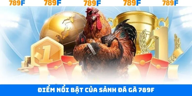Ưu điểm hấp dẫn khi người dùng cá cược đá gà 789F Ưu điểm hấp dẫn khi người dùng cá cược đá gà 789F