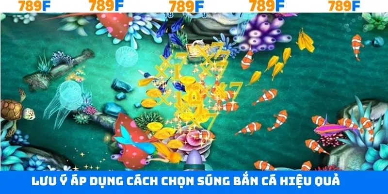 Các điều nên lưu ý khi lựa chọn súng bắn cá hiệu quả nhất Các điều nên lưu ý khi lựa chọn súng bắn cá hiệu quả nhất