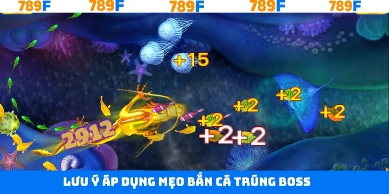 Chú ý cần thiết khi trải nghiệm săn cá lớn Chú ý cần thiết khi trải nghiệm săn cá lớn