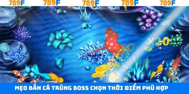 Chọn thời điểm ca lớn xuất hiện để tấn công dồn dập Chọn thời điểm ca lớn xuất hiện để tấn công dồn dập