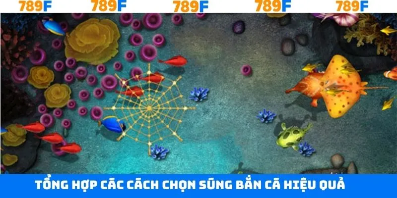 Nắm rõ cách thức khi chọn súng bắn cá hiệu quả cao Nắm rõ cách thức khi chọn súng bắn cá hiệu quả cao