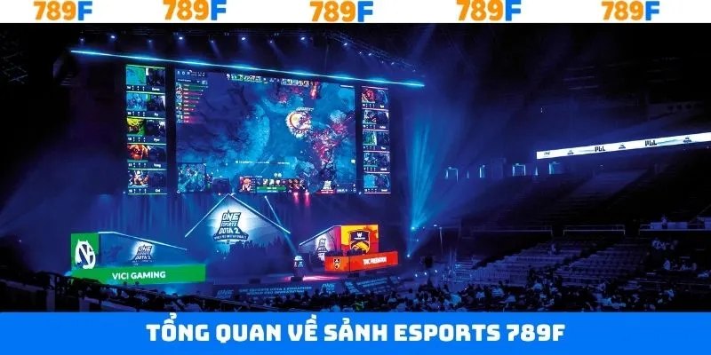 Thông tin sơ lược cần biết về Esports 789F Thông tin sơ lược cần biết về Esports 789F