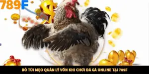 Bỏ Túi Mẹo Quản Lý Vốn Khi Chơi Đá Gà Online Tại 789F