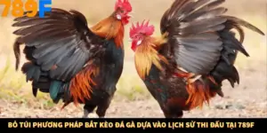 Bỏ Túi Phương Pháp Bắt Kèo Đá Gà Dựa Vào Lịch Sử Thi Đấu Tại 789F