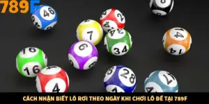 Cách Nhận Biết Lô Rơi Theo Ngày Khi Chơi Lô Đề Tại 789F