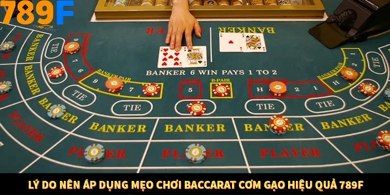 Lý do nên áp dụng mẹo chơi Baccarat cơm gạo hiệu quả 789F
