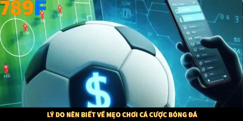 Lý do nên biết về mẹo chơi cá cược bóng đá