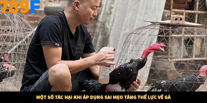 Một số tác hại khi áp dụng sai mẹo tăng thể lực về gà