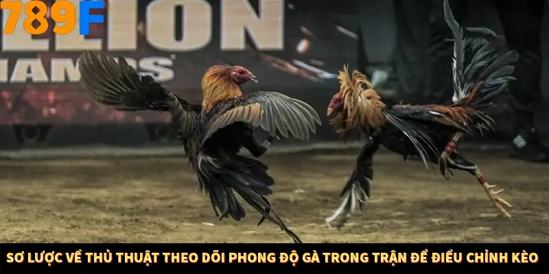 Sơ đồ kỹ thuật theo dõi tốc độ gà trong trận để điều chỉnh