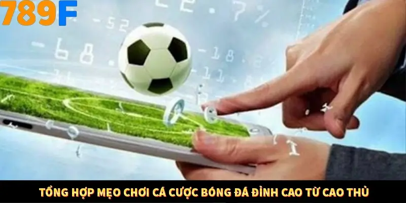Tổng hợp mẹo chơi cá cược bóng đá đỉnh cao từ cao thủ
