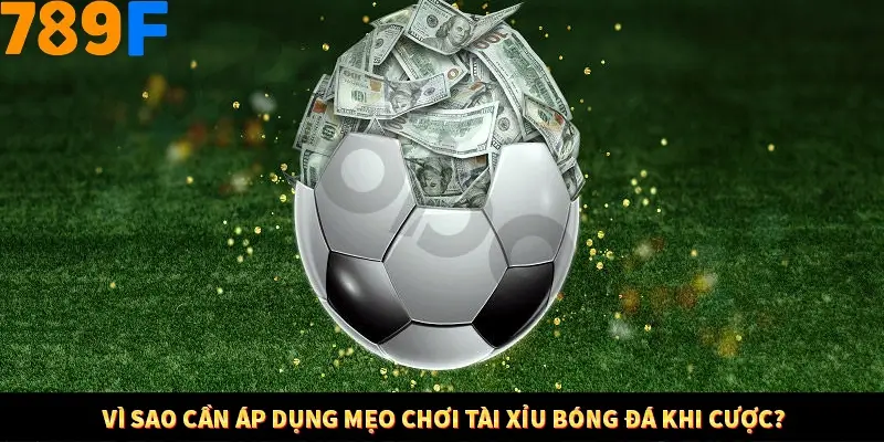 Bí Quyết Xếp Bài Phỏm Thành Dây Dài Tăng Tỷ Lệ Thắng Ở 789F 7 Vì sao cần áp dụng mẹo chơi tài xỉu bóng đá khi cược?