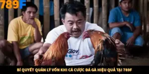 Bí Quyết Quản Lý Vốn Khi Cá Cược Đá Gà Hiệu Quả Tại 789F