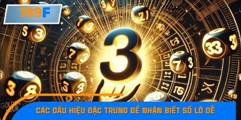 Các dấu hiệu đặc trưng để nhận biết số lô dễ về trong mùa mưa Các dấu hiệu đặc trưng để nhận biết số lô dễ về trong mùa mưa