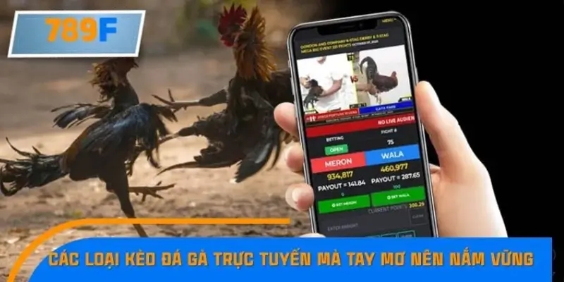 Các loại kèo đá gà trực tuyến mà tay mơ nên nắm vững Các loại kèo đá gà trực tuyến mà tay mơ nên nắm vững