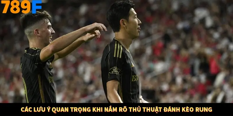 Các lưu ý quan trọng khi nắm rõ thủ thuật đánh kèo rung Các lưu ý quan trọng khi nắm rõ thủ thuật đánh kèo rung