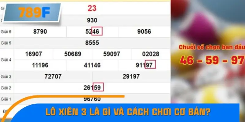 Lô xiên 3 là gì và cách chơi cơ bản? Lô xiên 3 là gì và cách chơi cơ bản?