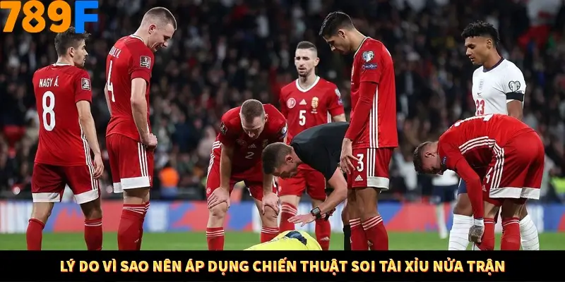 Lý do vì sao nên áp dụng chiến thuật soi tài xỉu nửa trận Lý do vì sao nên áp dụng chiến thuật soi tài xỉu nửa trận