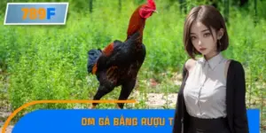 Mẹo Om Gà Bằng Rượu Thuốc Dân Gian Hiệu Quả Đến Bất Ngờ