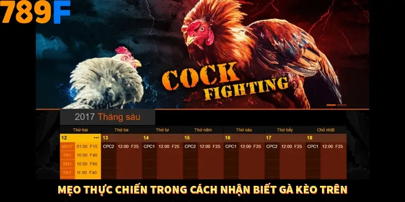 Bí Quyết Xếp Bài Phỏm Thành Dây Dài Tăng Tỷ Lệ Thắng Ở 789F 9 Mẹo thực chiến trong cách nhận biết gà kèo trên