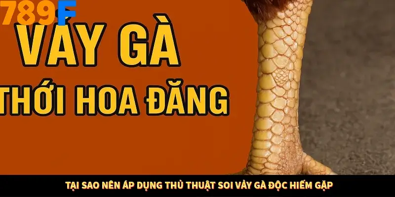 Bí Quyết Xếp Bài Phỏm Thành Dây Dài Tăng Tỷ Lệ Thắng Ở 789F 7 Tại sao nên áp dụng thủ thuật soi vảy gà độc hiếm gặp