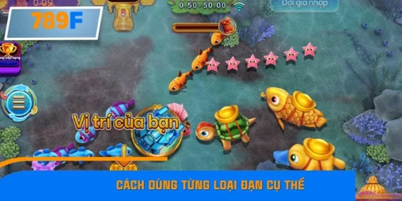 Cách chia đạn bắn cá tiết kiệm theo từng tình huống Cách chia đạn bắn cá tiết kiệm theo từng tình huống